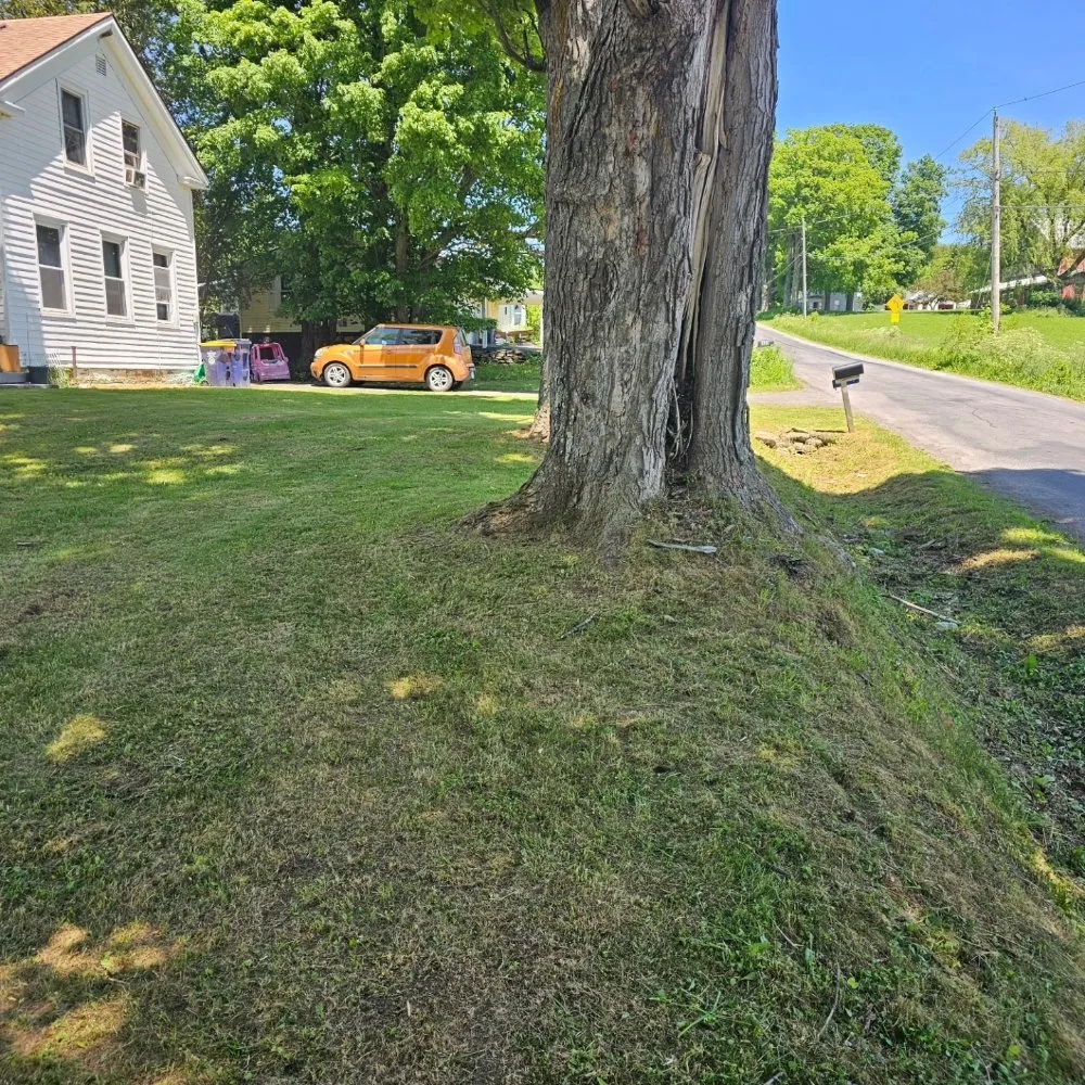 Affordable garden landscaping for homes in Frankfort, NY by Linebeck & Maggio Lawncare