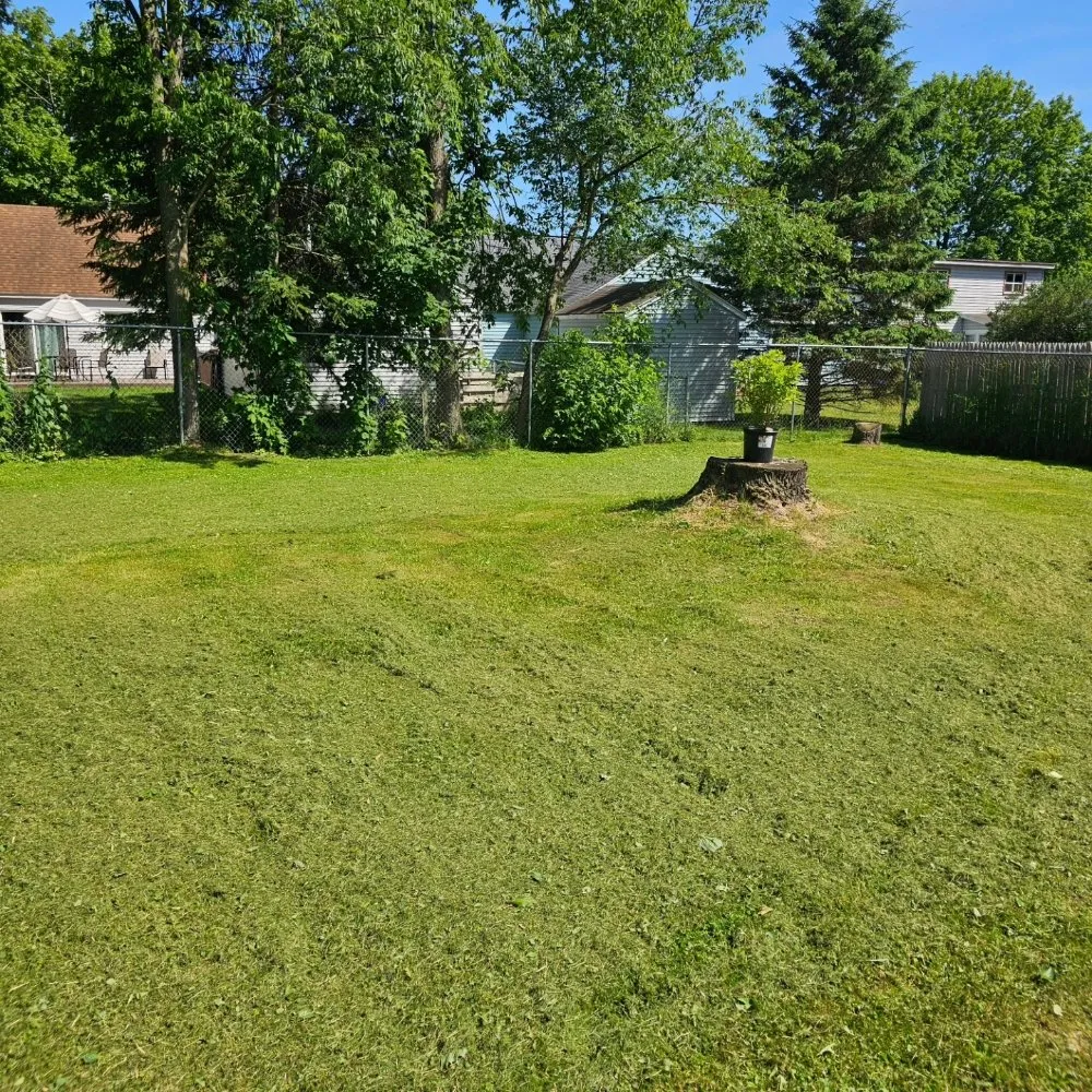 Trusted yard maintenance experts serving Frankfort, NY - Linebeck & Maggio Lawncare