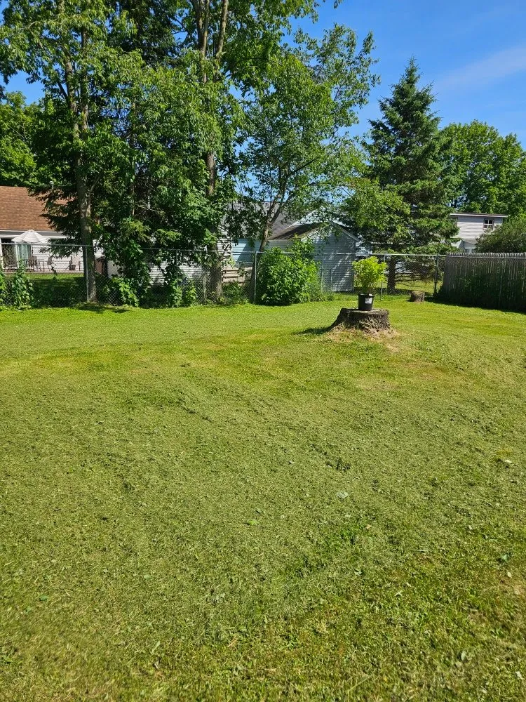 Top-rated lawn mowing service with custom design across Frankfort, NY - Linebeck & Maggio Lawncare