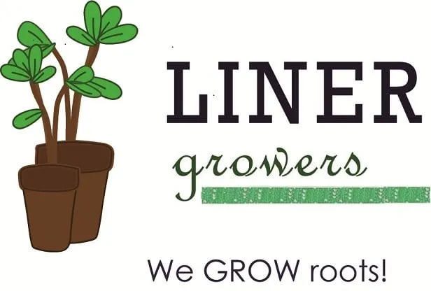 Local outdoor landscaping in Homestead, FL - Liner Growers Nursery