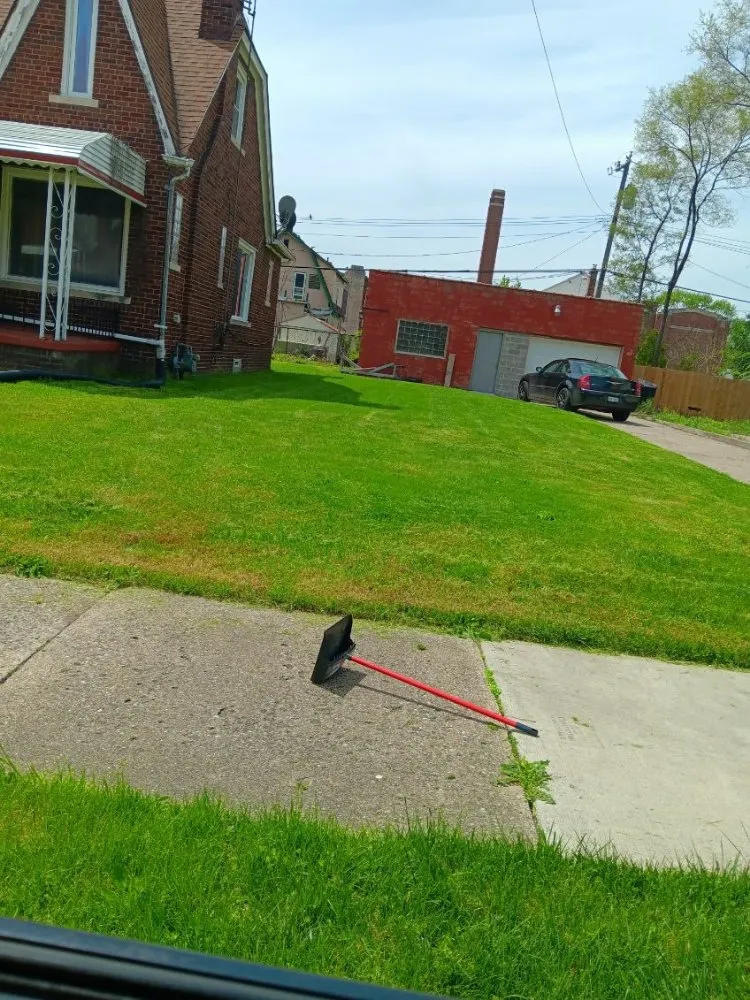 Expert yard cleanup service experts serving Detroit, MI - Liners