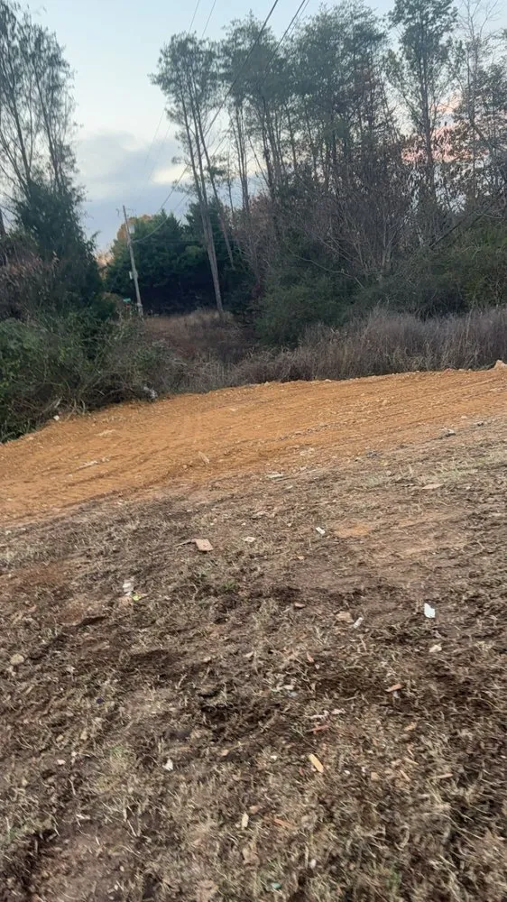 Custom outdoor landscaping for beautiful yards across Harrison, TN - Liners Landscaping