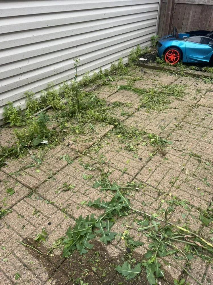 Reliable landscaping services for homes across Fargo, ND - Lines 4 Less