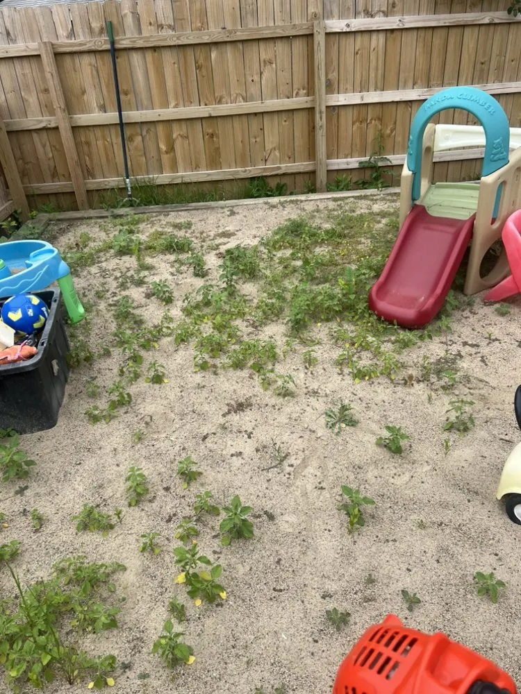 Local landscape installation for beautiful yards across Fargo, ND - Lines 4 Less