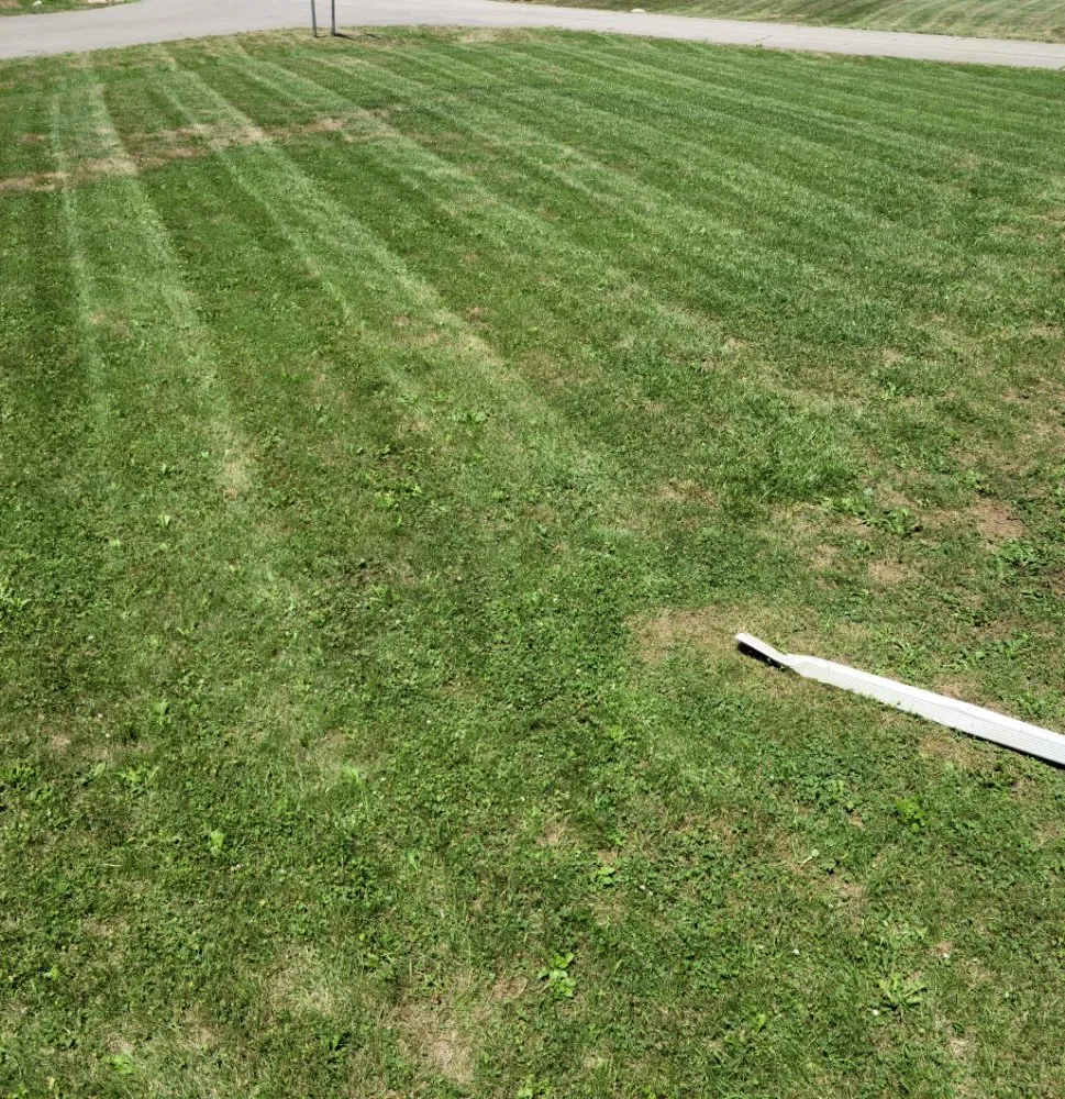 Trusted landscape design experts serving Anderson, IN - Lines Landscaping - Anderson - Carmel - Pendleton