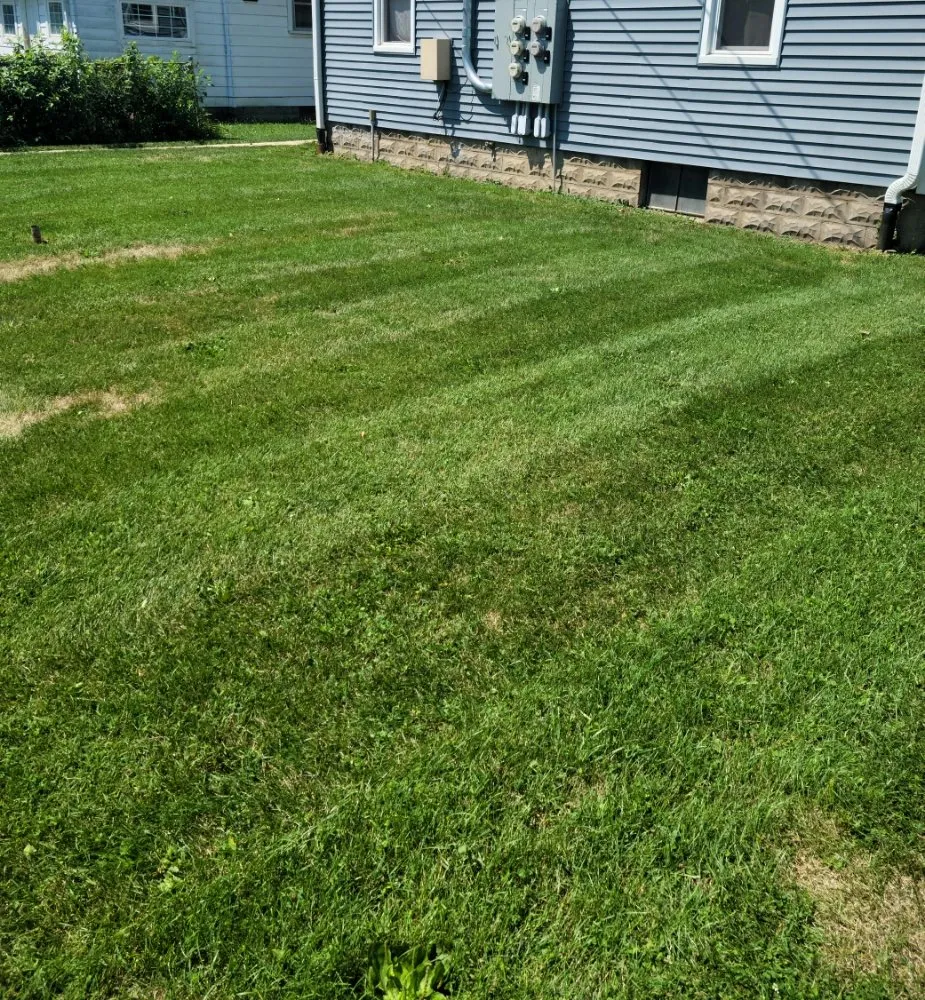 Top-rated outdoor landscaping for year-round maintenance in Anderson, IN by Lines Landscaping - Anderson - Carmel - Pendleton
