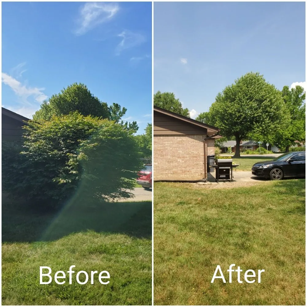 Custom lawn mowing service for homes across Anderson, IN - Lines Landscaping - Anderson - Carmel - Pendleton