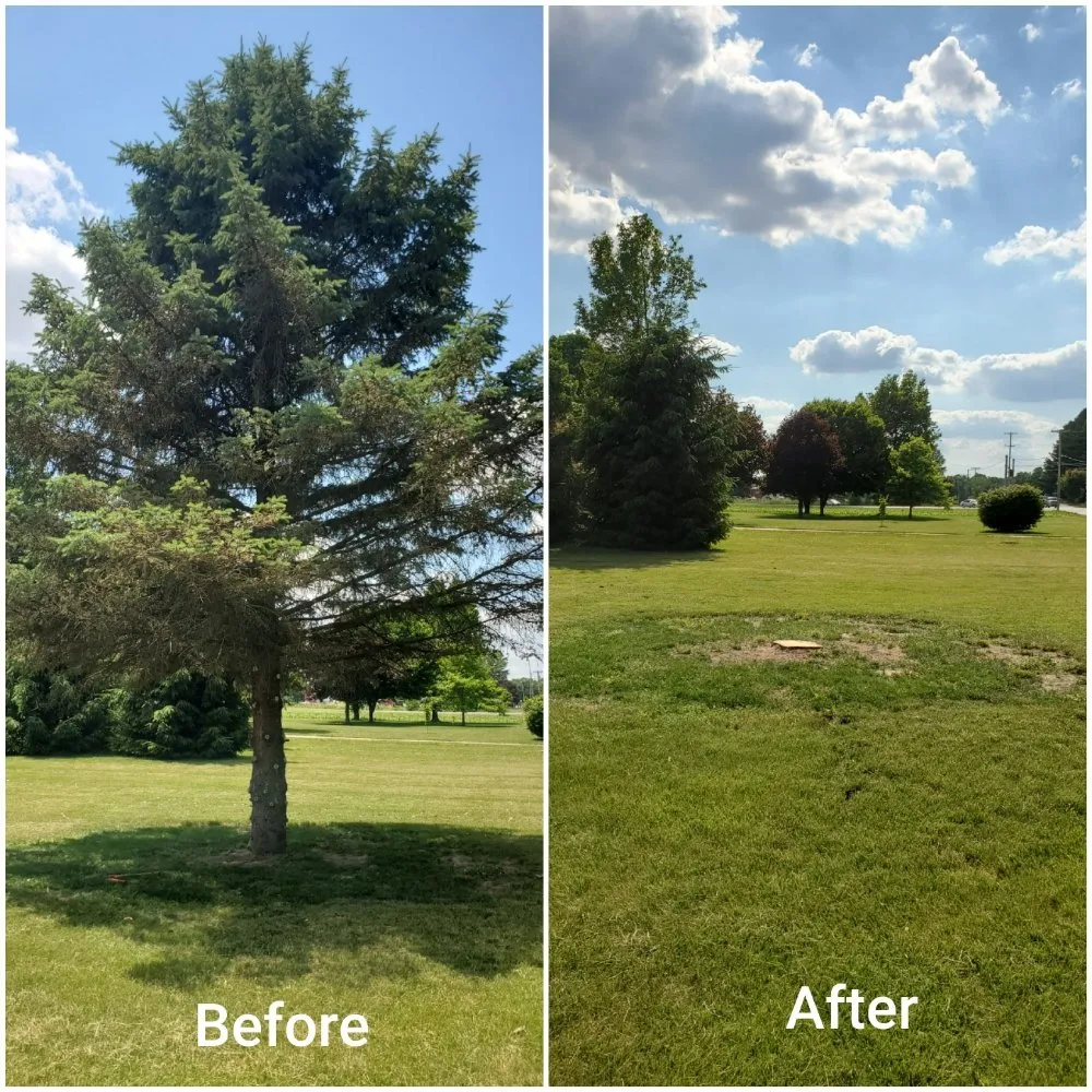 Reliable lawn mowing service experts serving Anderson, IN - Lines Landscaping - Anderson - Carmel - Pendleton