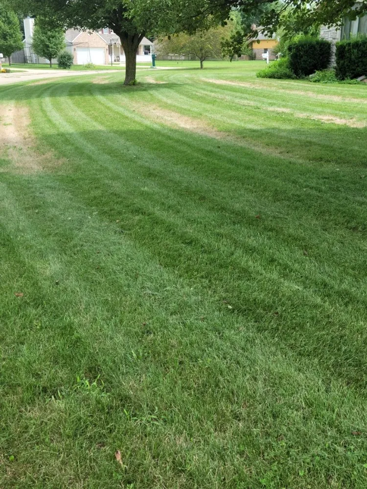 Expert lawn mowing service in Anderson, IN - Lines Landscaping - Anderson - Carmel - Pendleton