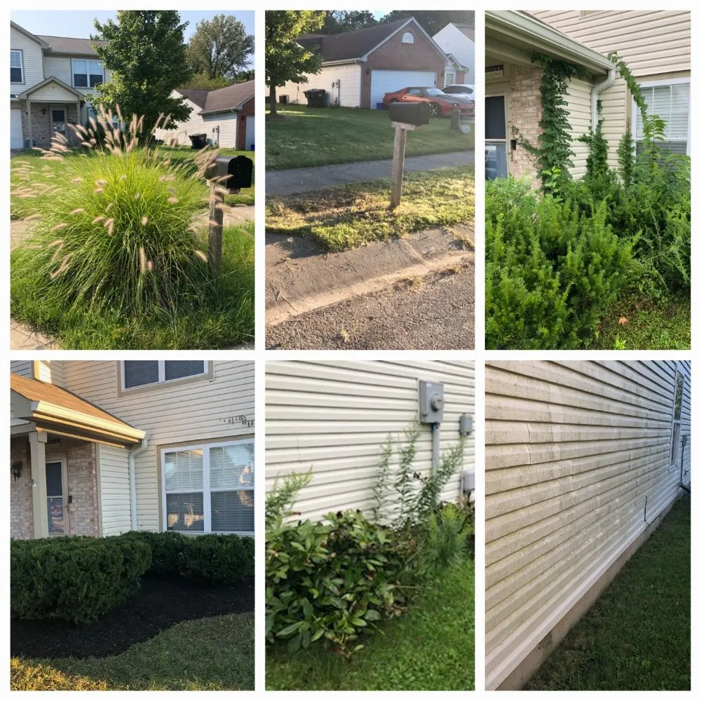Top-rated landscaping services for outdoor upgrades across Anderson, IN - Lines Landscaping - Anderson - Carmel - Pendleton