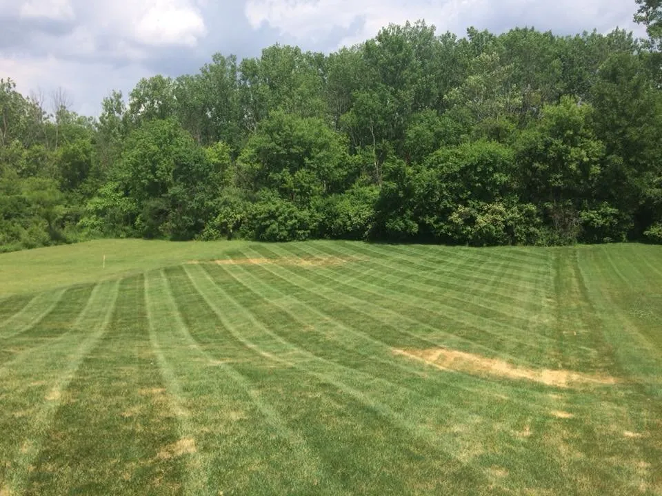 Local yard maintenance experts serving Anderson, IN - Lines Landscaping - Anderson - Carmel - Pendleton