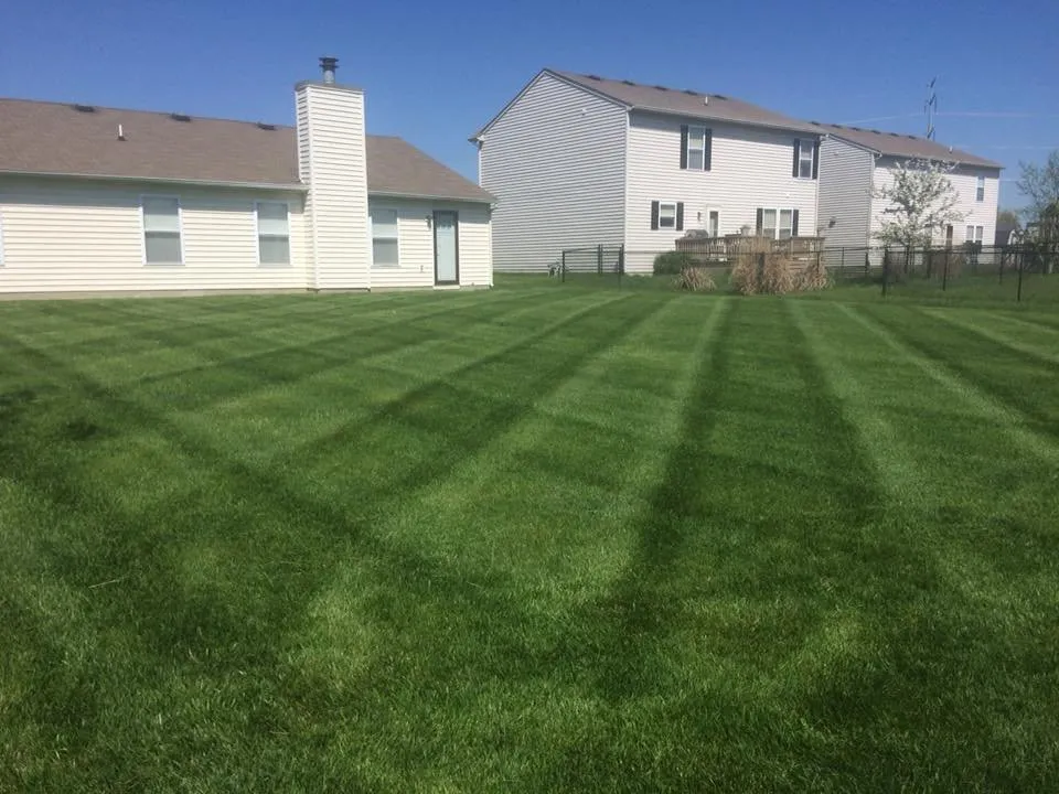 Affordable outdoor landscaping with custom design in Anderson, IN by Lines Landscaping - Anderson - Carmel - Pendleton