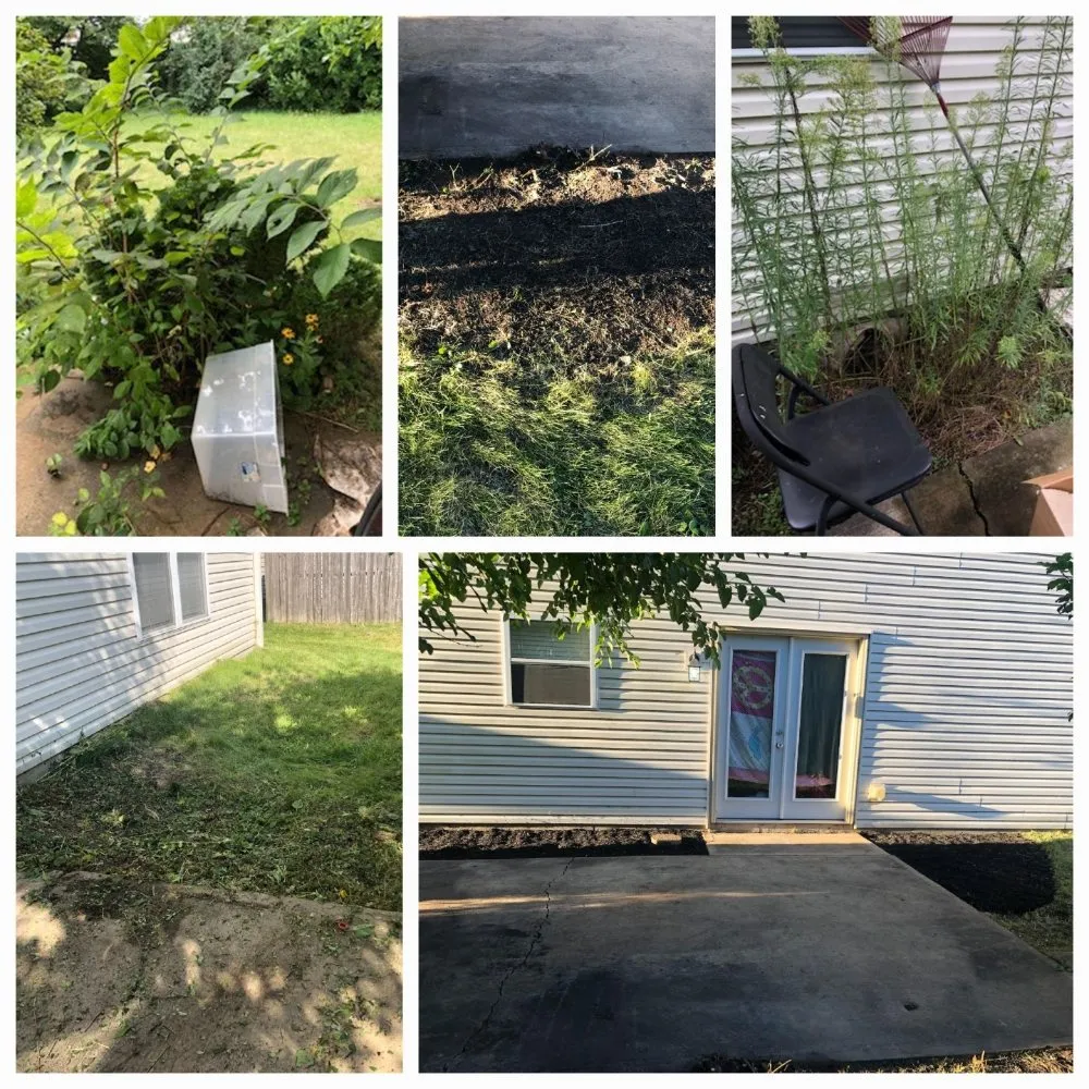 Professional landscape installation in Anderson, IN - Lines Landscaping - Anderson - Carmel - Pendleton