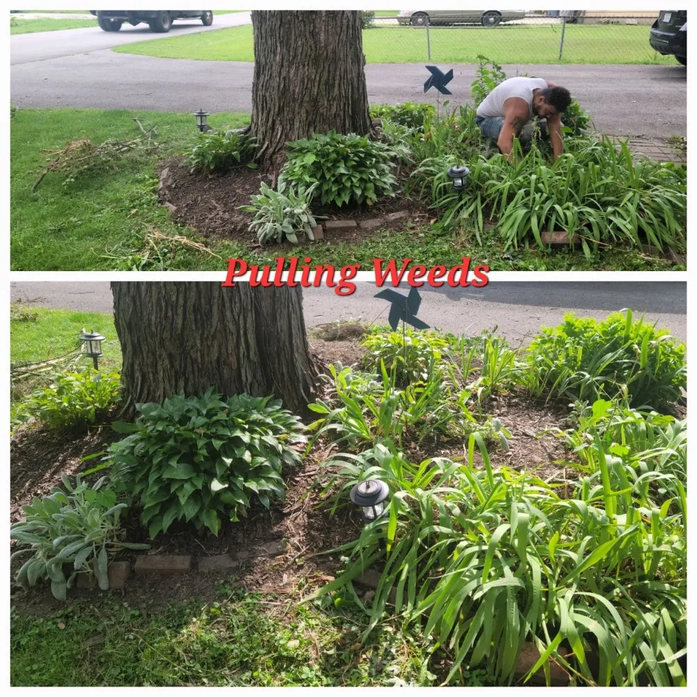 Reliable lawn mowing service for homes across Anderson, IN - Lines Landscaping - Anderson - Carmel - Pendleton