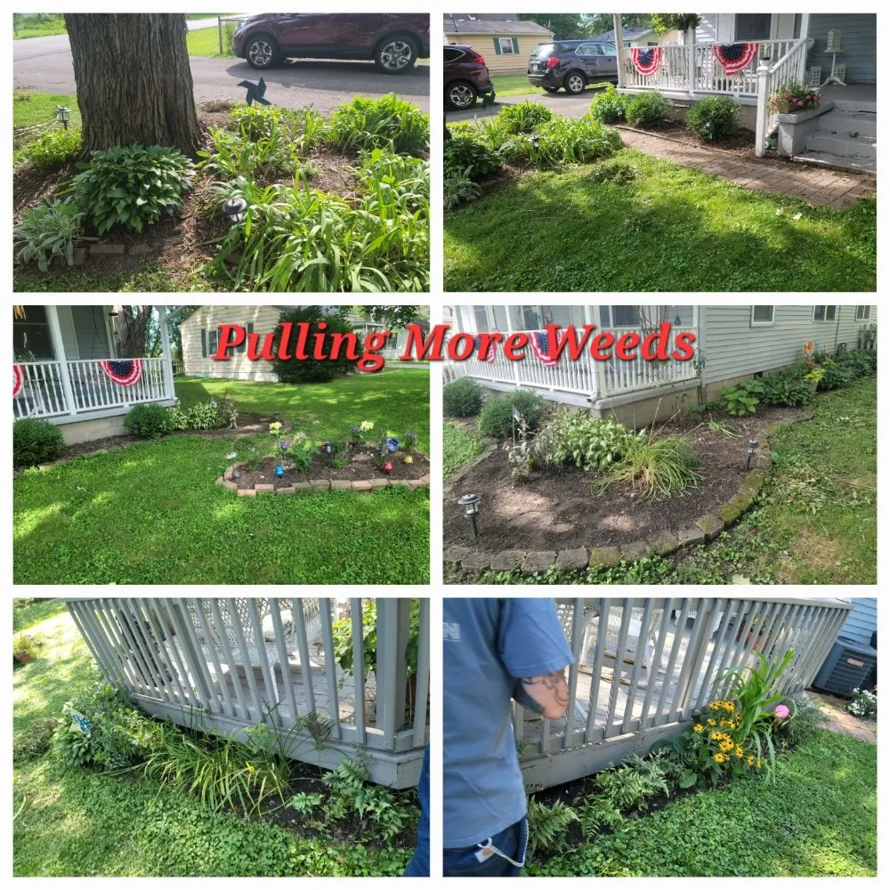 Local yard maintenance experts serving Anderson, IN - Lines Landscaping - Anderson - Carmel - Pendleton