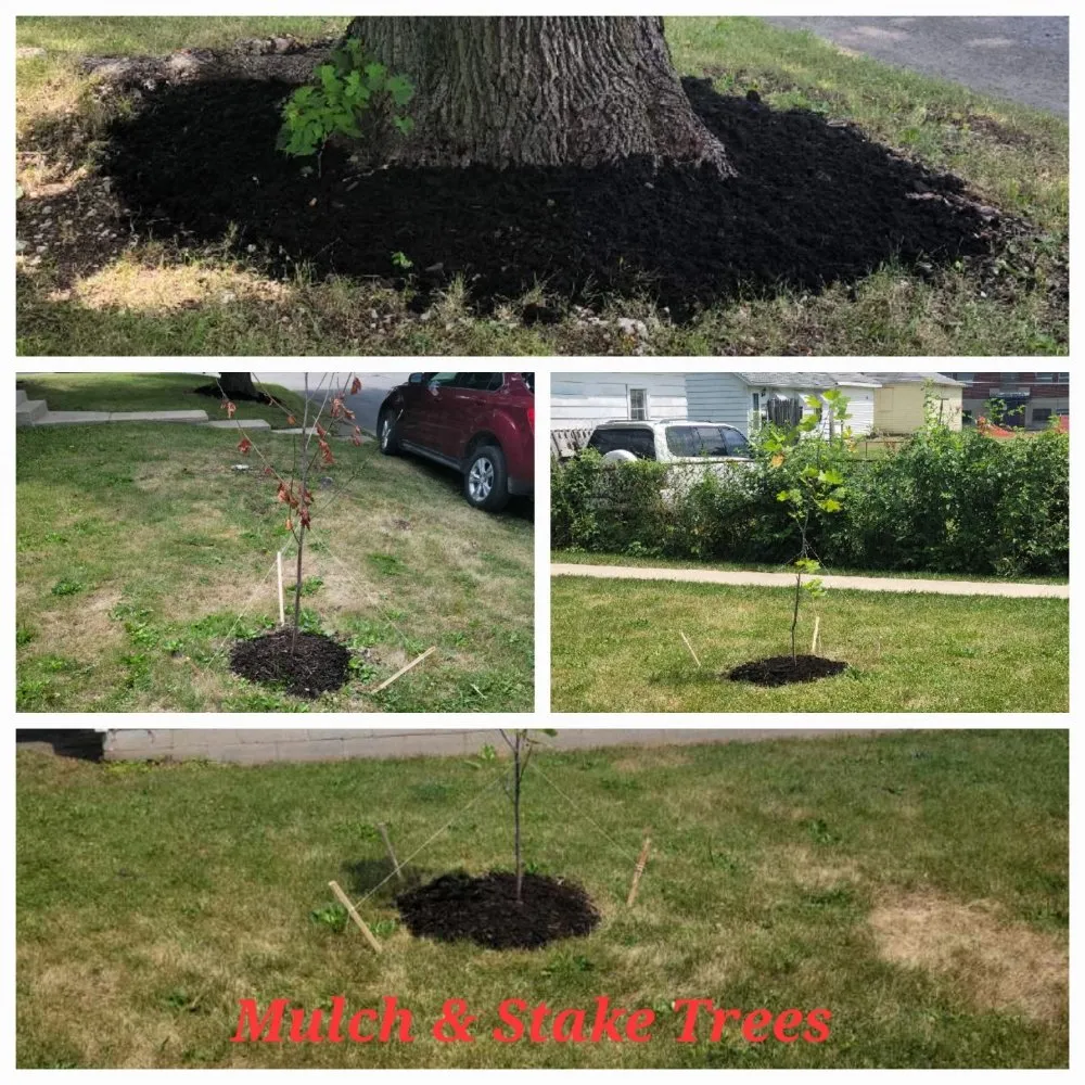 Professional landscape design with custom design across Anderson, IN - Lines Landscaping - Anderson - Carmel - Pendleton