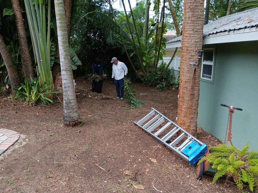 Professional yard cleanup service with custom design across St. Petersburg, FL - Lines Lawn & Landscaping