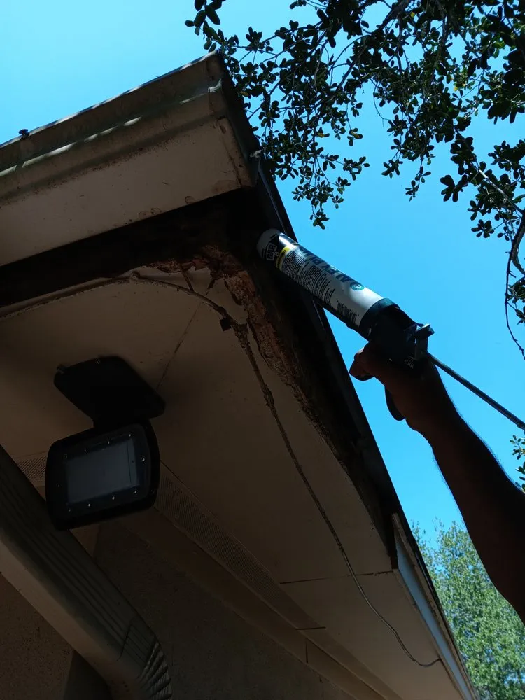 Professional landscaping services for beautiful yards in St. Petersburg, FL by Lines Lawn & Landscaping