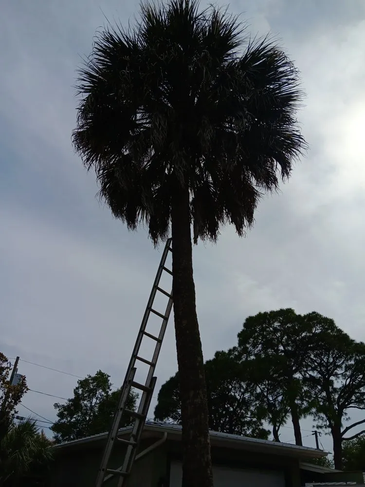 Custom residential landscaping in St. Petersburg, FL - Lines Lawn & Landscaping