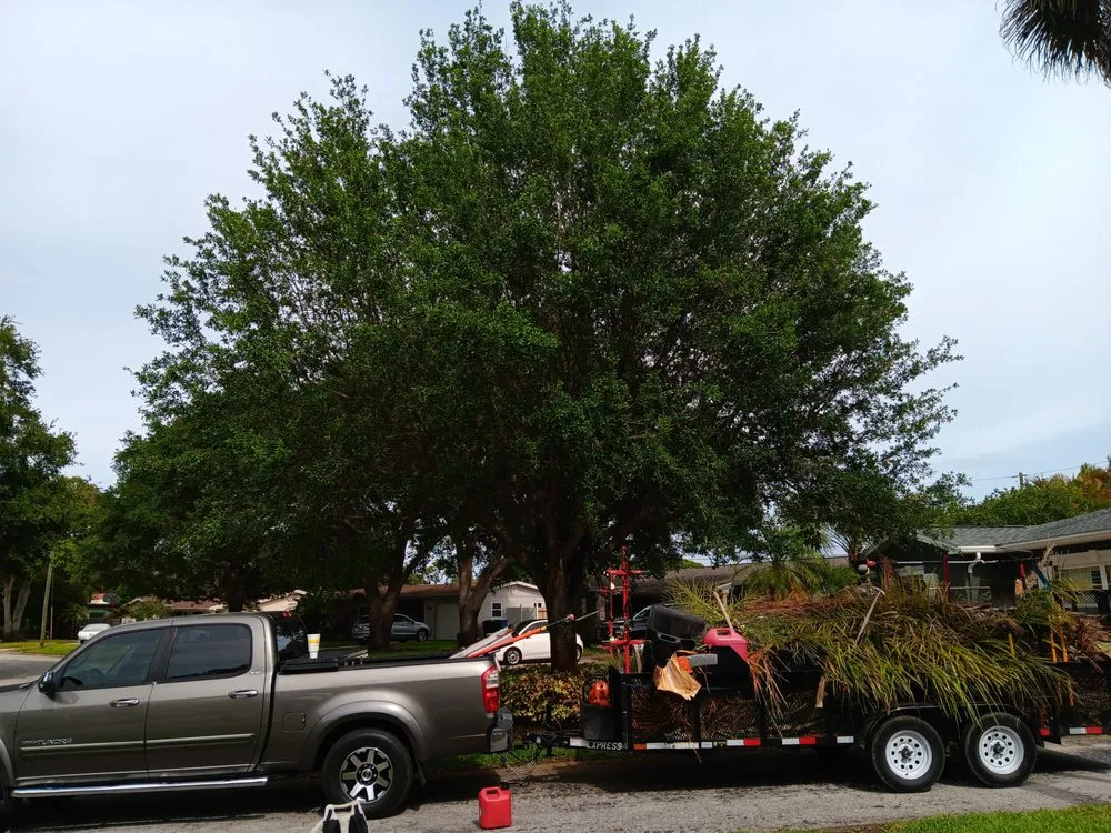 Top-rated garden landscaping in St. Petersburg, FL - Lines Lawn & Landscaping