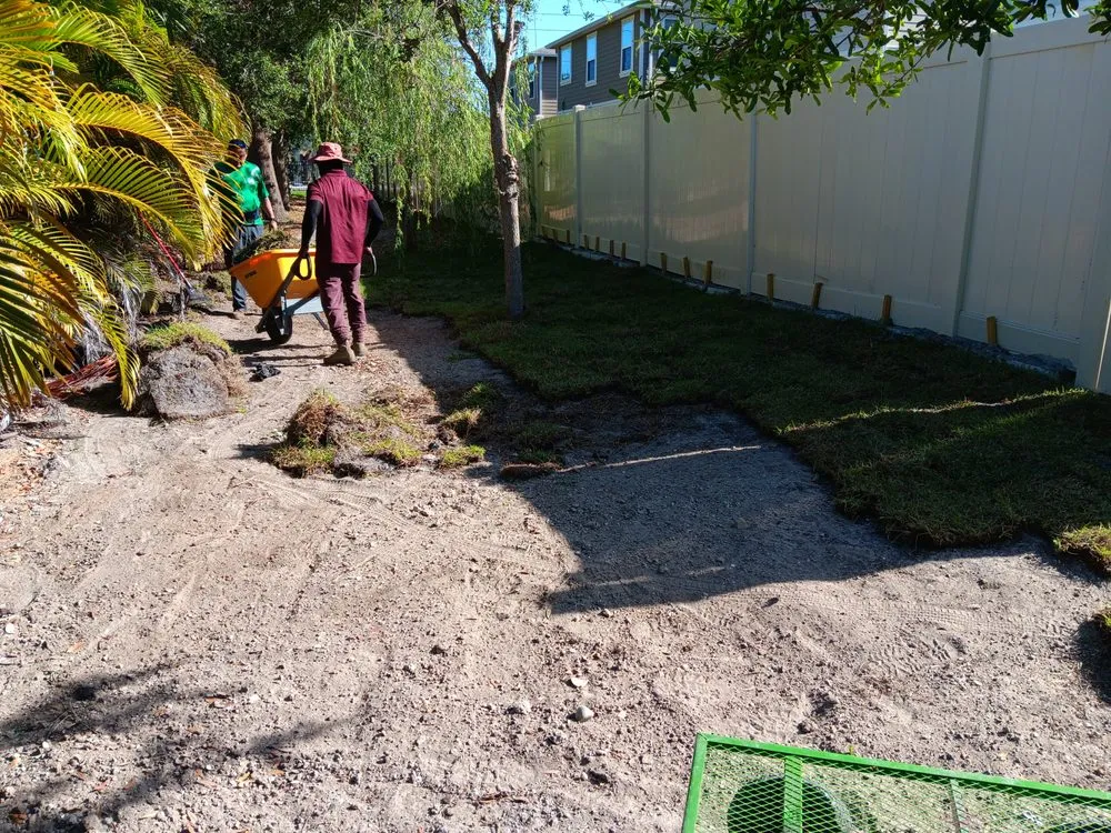 Reliable yard cleanup service near you across St. Petersburg, FL - Lines Lawn & Landscaping