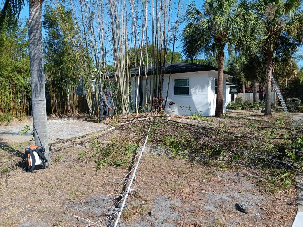 Trusted yard maintenance with custom design in St. Petersburg, FL by Lines Lawn & Landscaping