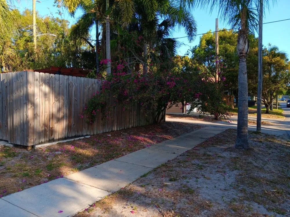 Expert landscape installation experts serving St. Petersburg, FL - Lines Lawn & Landscaping