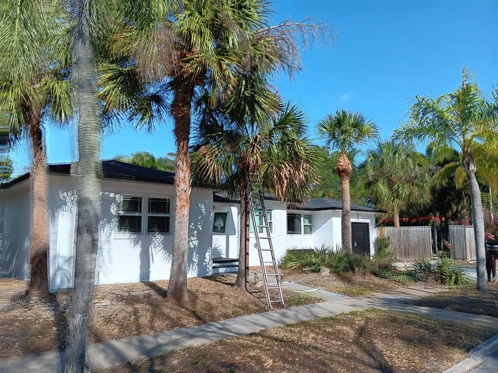 Custom lawn mowing service in St. Petersburg, FL - Lines Lawn & Landscaping