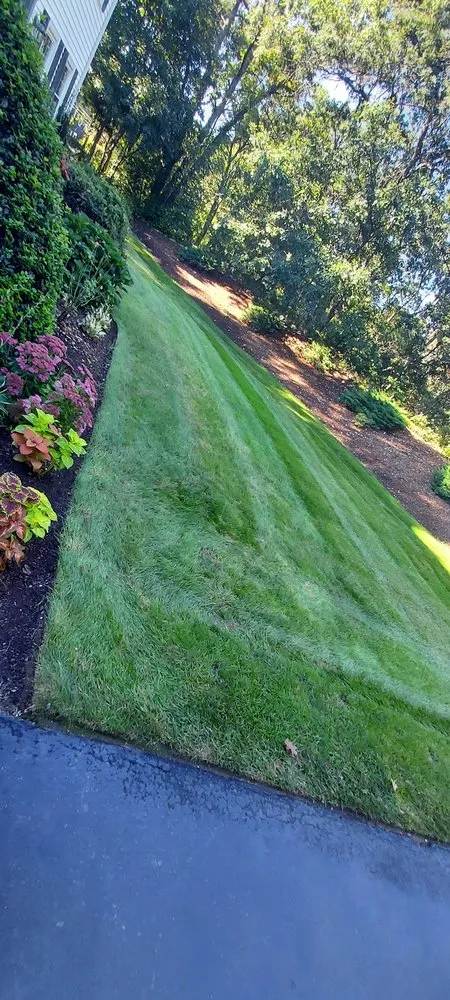 Affordable yard cleanup service for beautiful yards across Foxborough, MA - Linex Property Care