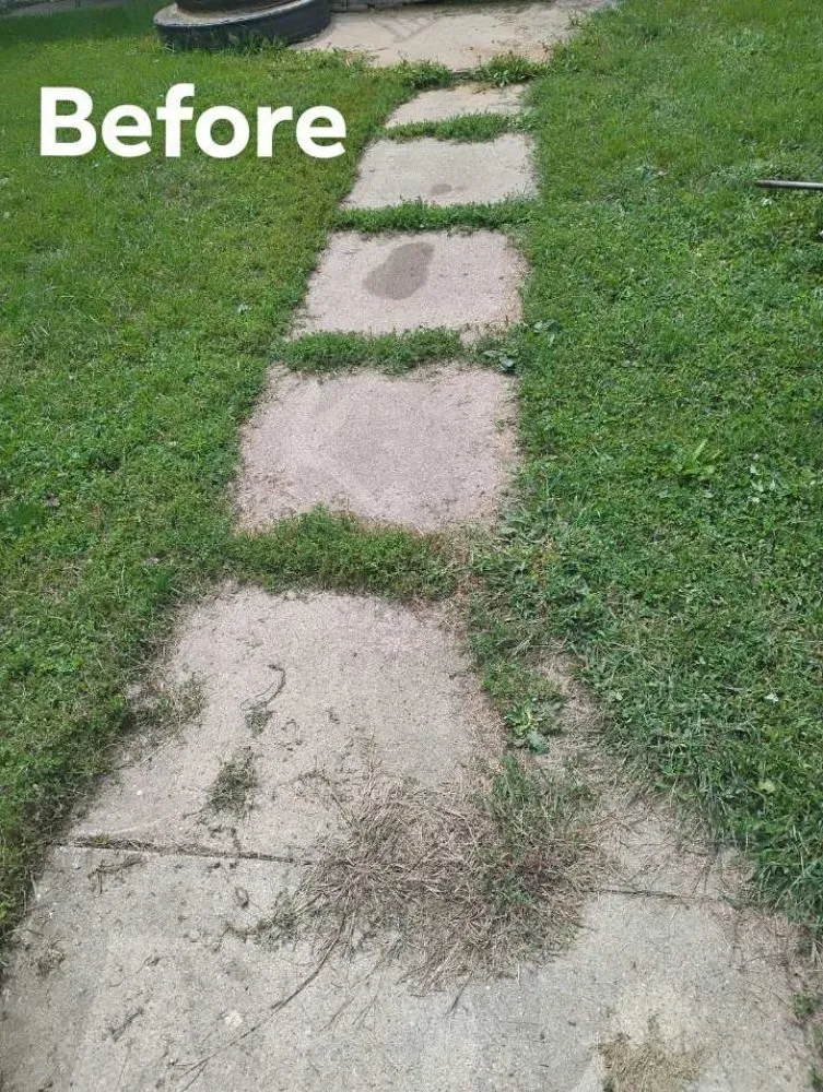 Custom yard maintenance experts serving Rock Valley, IA - Lingar Lawn Care