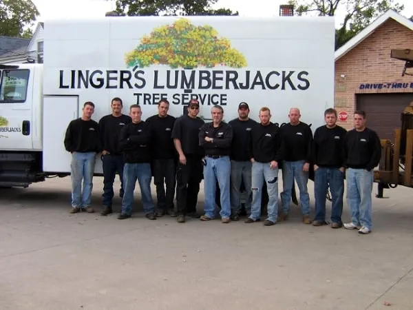 Top-rated landscaping services with custom design in Norton, OH by Linger Lumberjacks