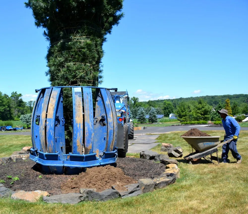 Trusted yard cleanup service near you across Chalfont, PA - Lingo Group