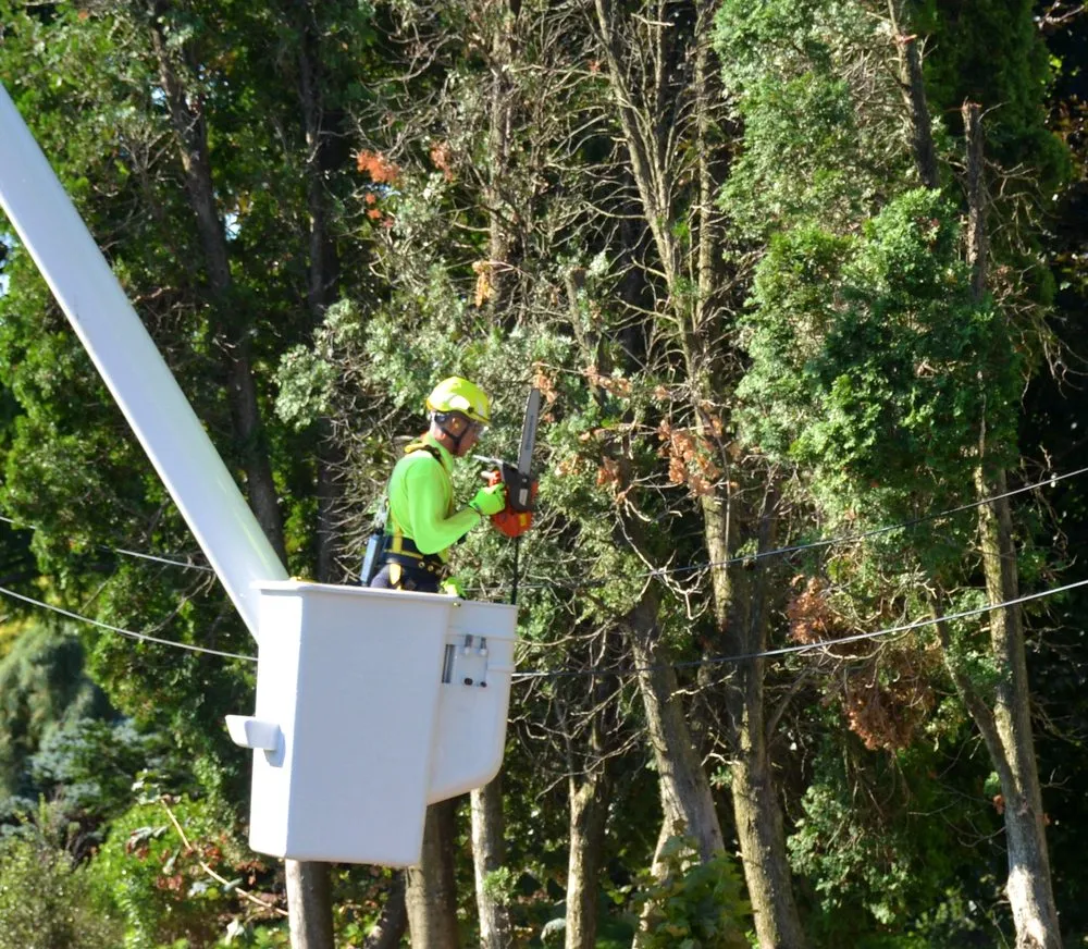 Affordable lawn care service experts serving Chalfont, PA - Lingo Group