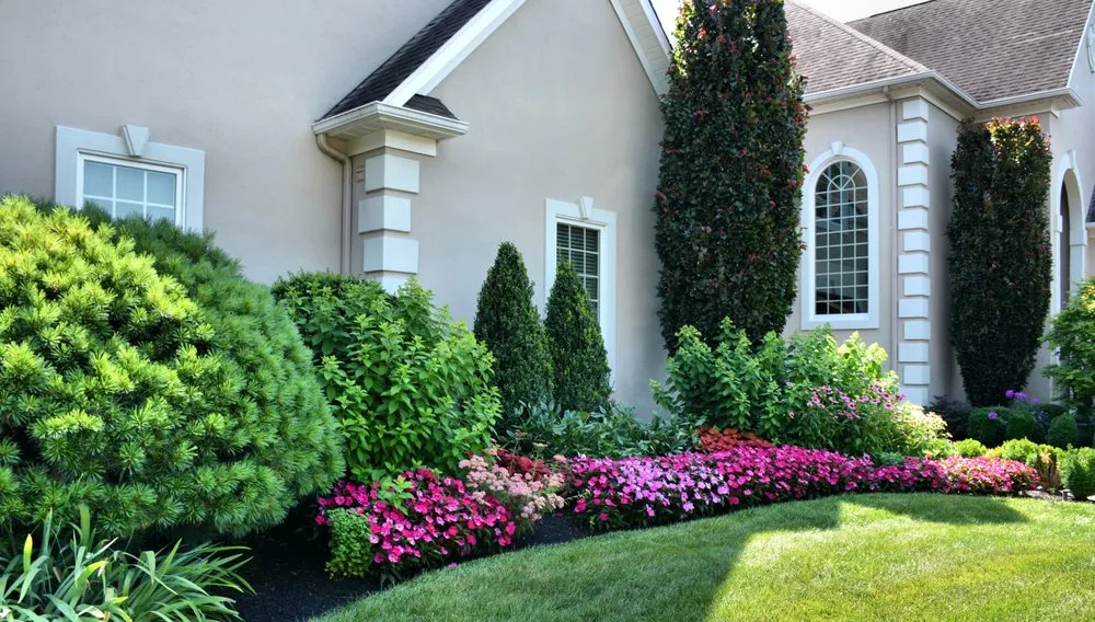 Top-rated landscaping services for beautiful yards across Chalfont, PA - Lingo Group