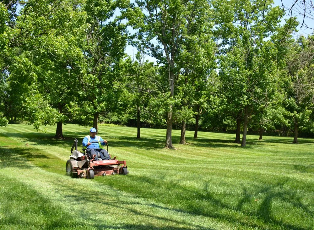 Reliable landscaping services for residential properties across Chalfont, PA - Lingo Group