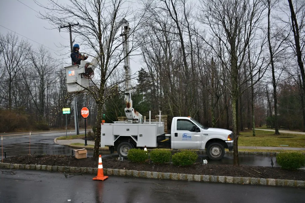 Professional lawn care service in Chalfont, PA - Lingo Group