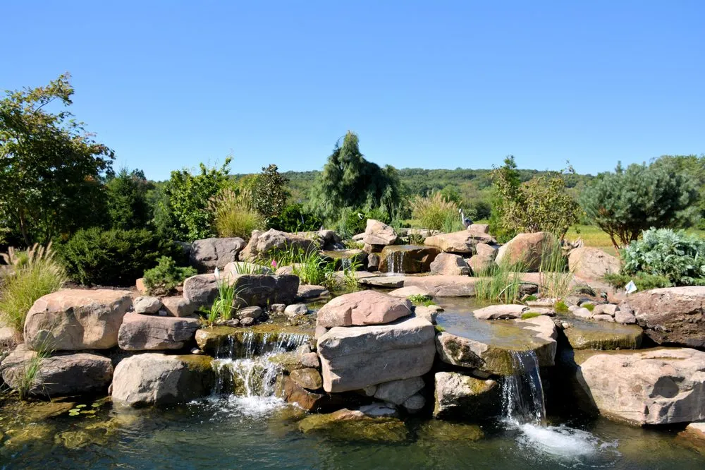 Affordable yard cleanup service with custom design across Chalfont, PA - Lingo Group