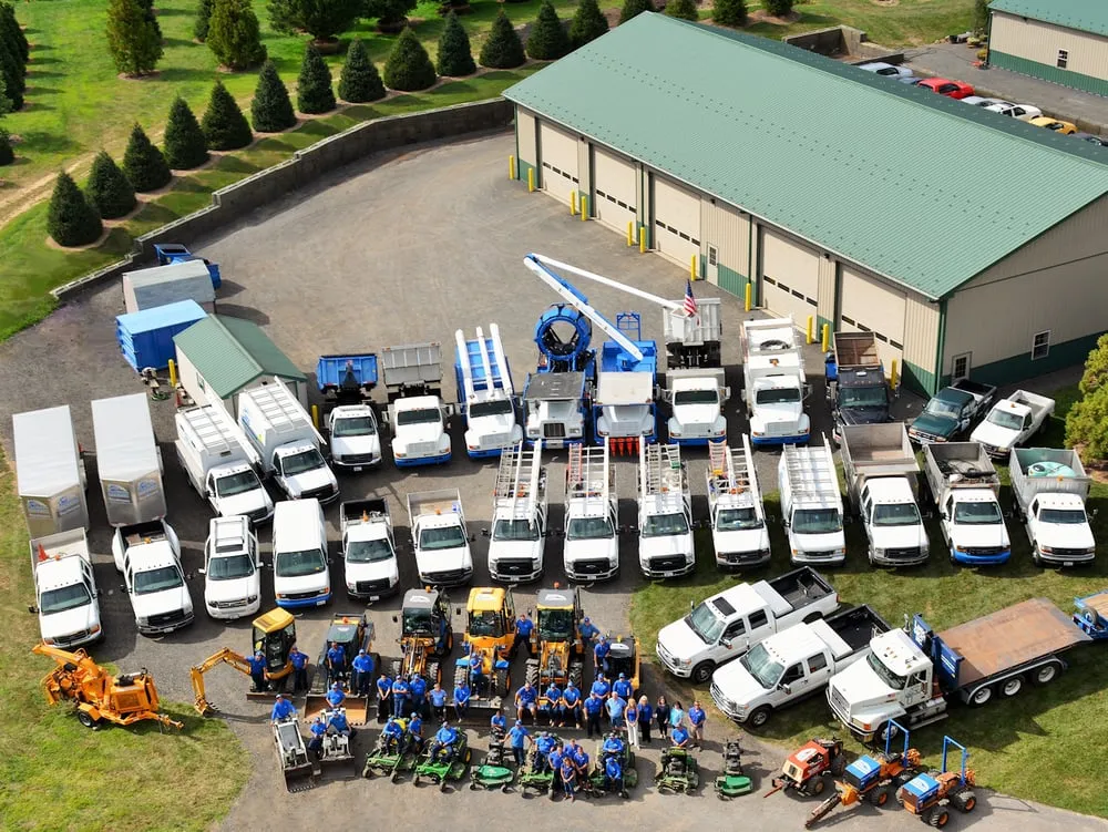 Local lawn care service in Chalfont, PA - Lingo Group