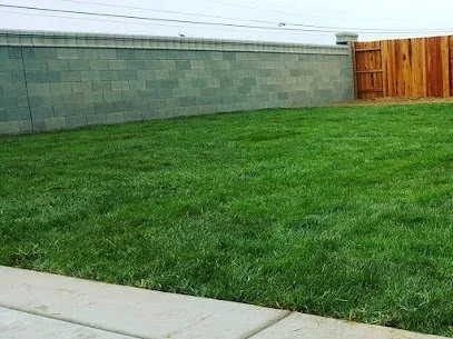 Professional lawn care service for homes across Florence, SC - Linhale Landscaping & Lawn Care