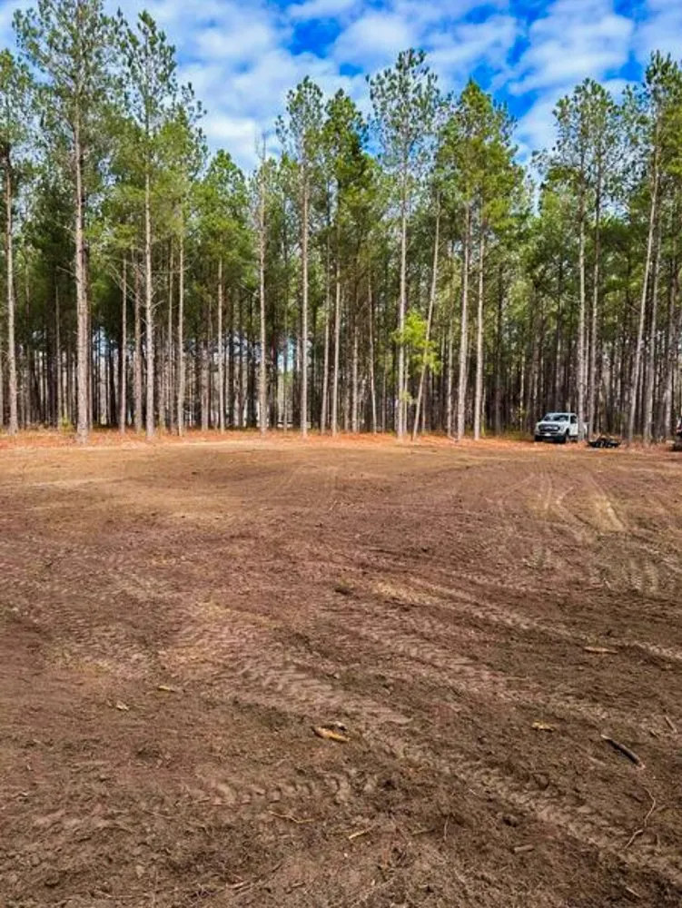 Local garden landscaping near you across Florence, SC - Linhale Landscaping & Lawn Care