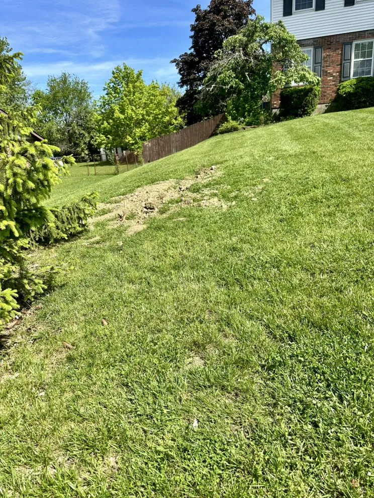 Local landscape design for beautiful yards in Hamilton, OH by Linir Landscaping