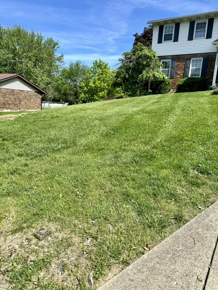 Expert landscaping services with custom design in Hamilton, OH by Linir Landscaping