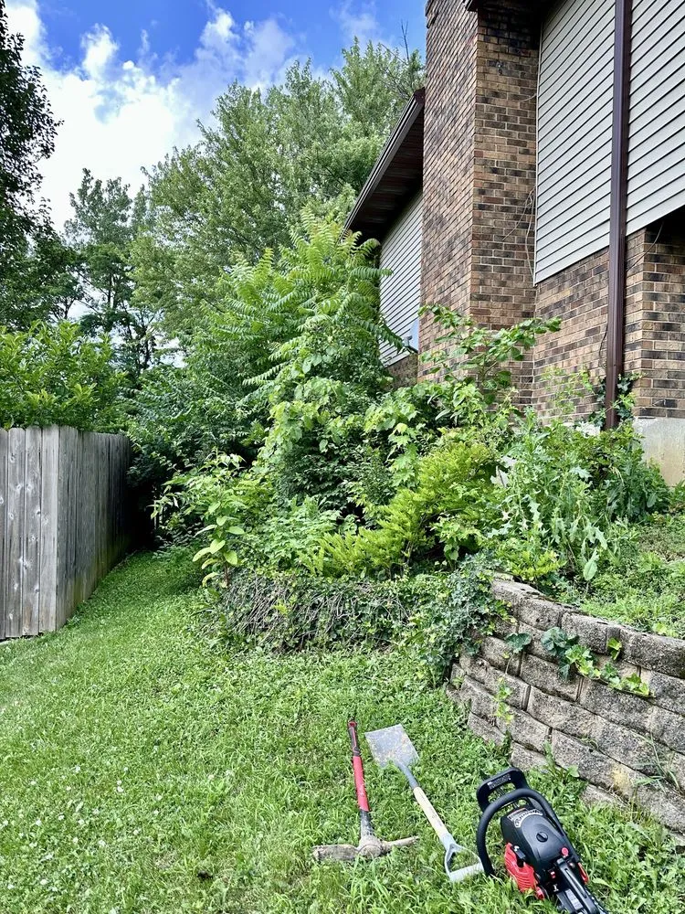 Affordable yard maintenance in Hamilton, OH - Linir Landscaping