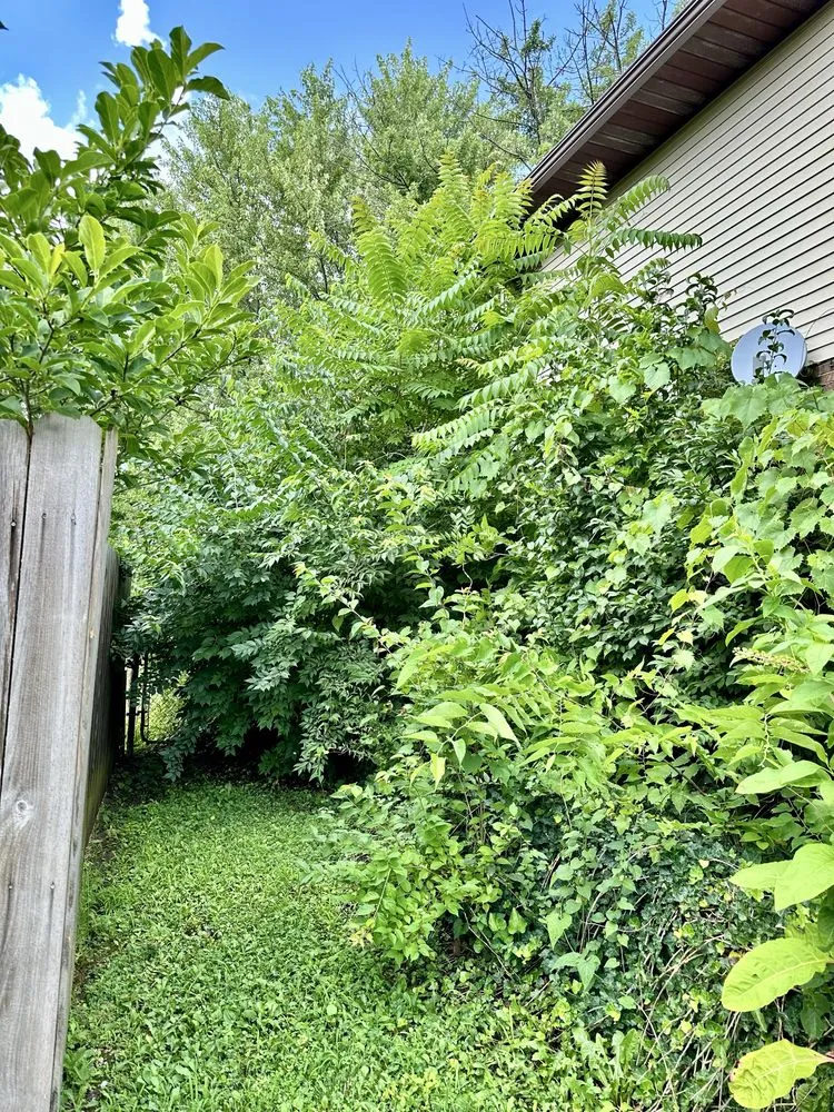 Trusted garden landscaping for outdoor upgrades in Hamilton, OH by Linir Landscaping