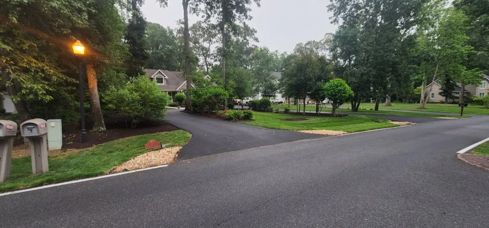 Expert yard cleanup service experts serving Milton, DE - Link and Sons Lawn Care