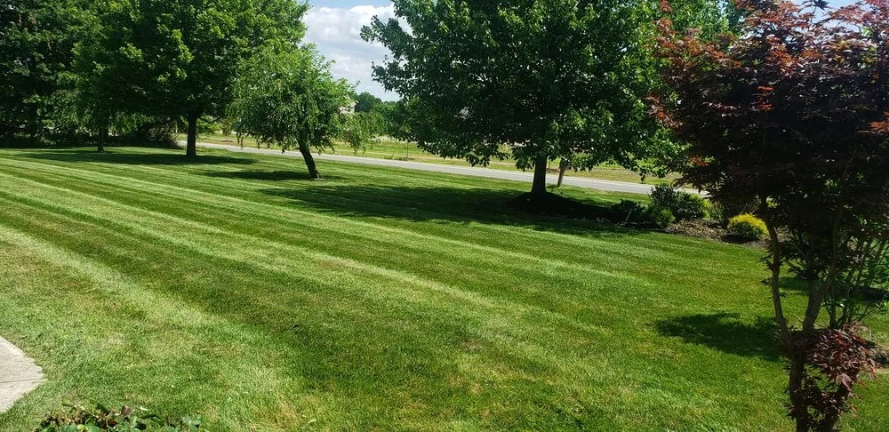 Top-rated residential landscaping near you across Catasauqua, PA - Links Lawn Care