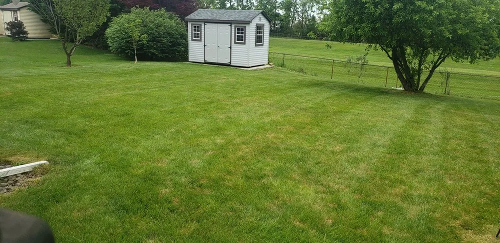 Trusted yard cleanup service near you in Catasauqua, PA by Links Lawn Care