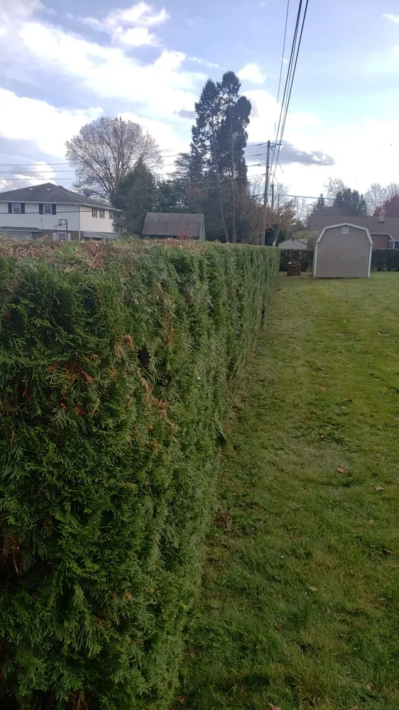 Affordable landscape design in Catasauqua, PA - Links Lawn Care