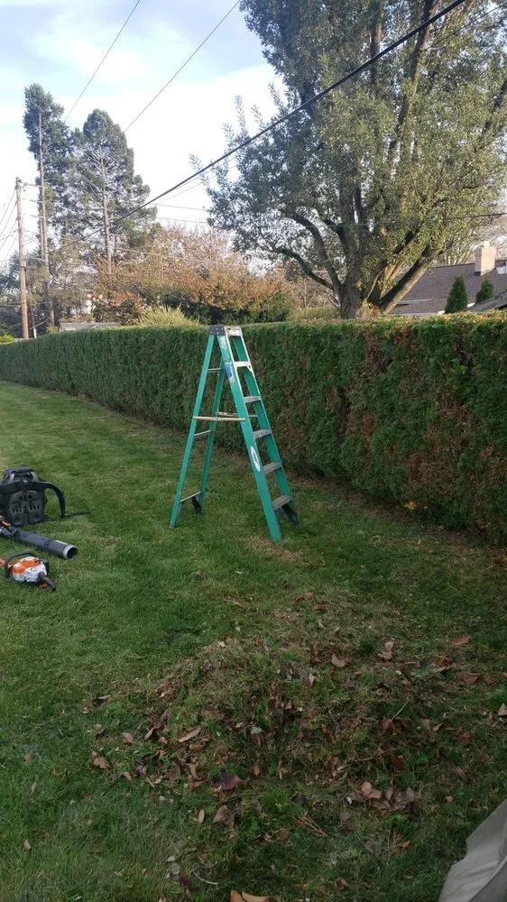 Local landscape installation for outdoor upgrades in Catasauqua, PA by Links Lawn Care