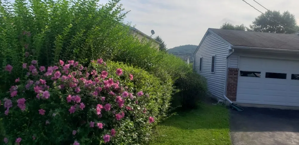 Top-rated residential landscaping experts serving Catasauqua, PA - Links Lawn Care